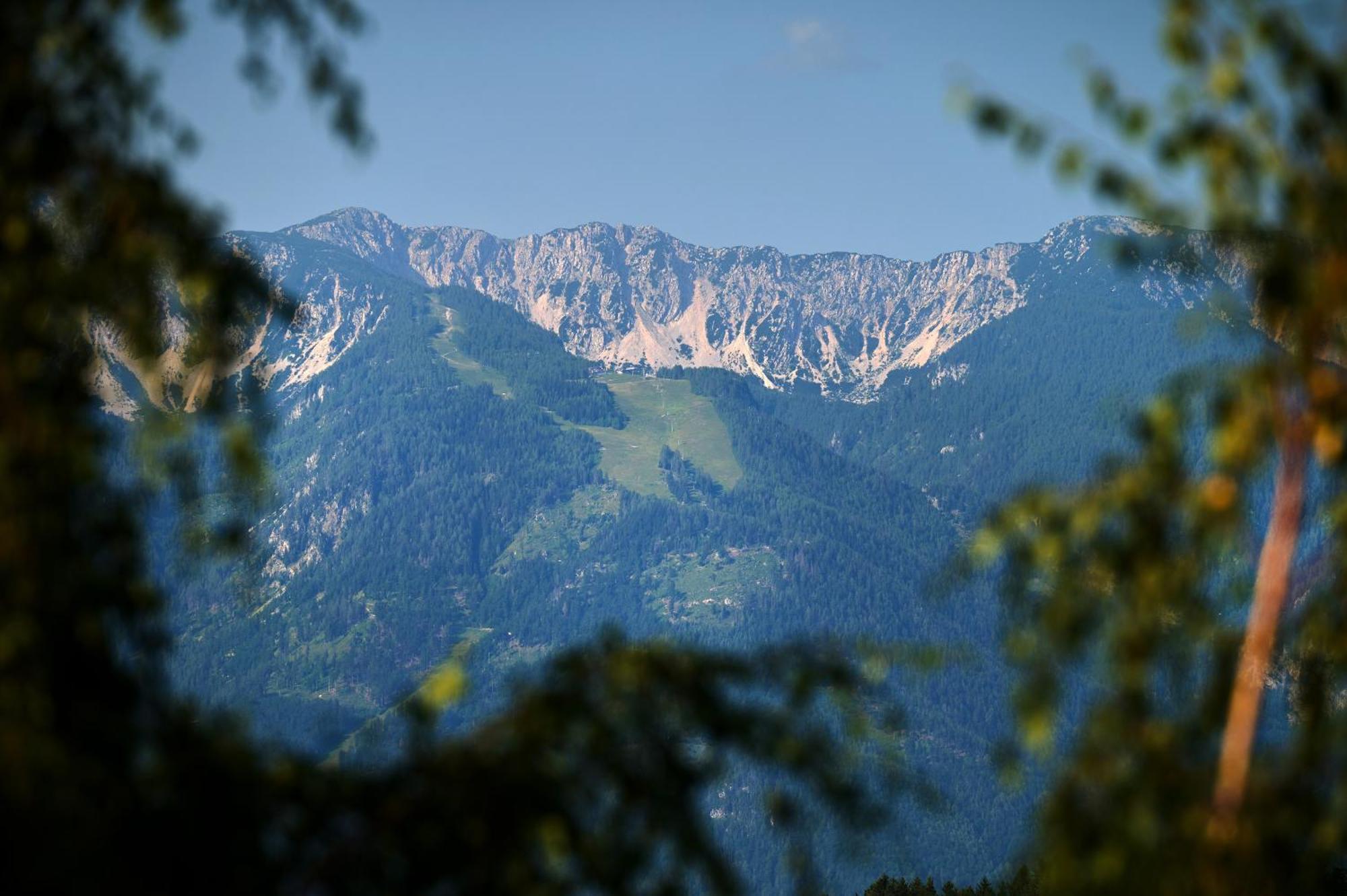 Apartments Organic Tourist Farm Gradisnik Prevalje Εξωτερικό φωτογραφία