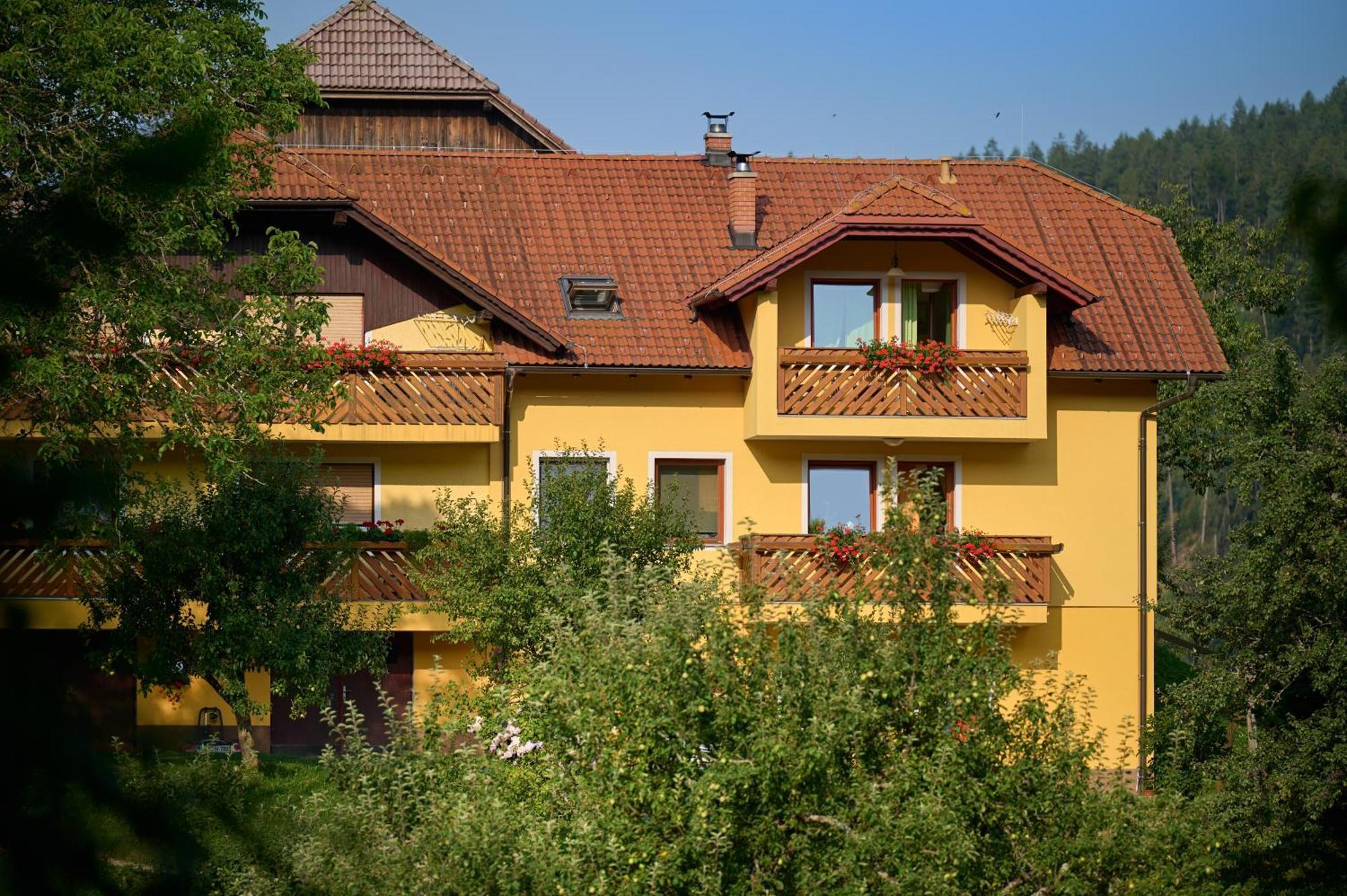 Apartments Organic Tourist Farm Gradisnik Prevalje Εξωτερικό φωτογραφία