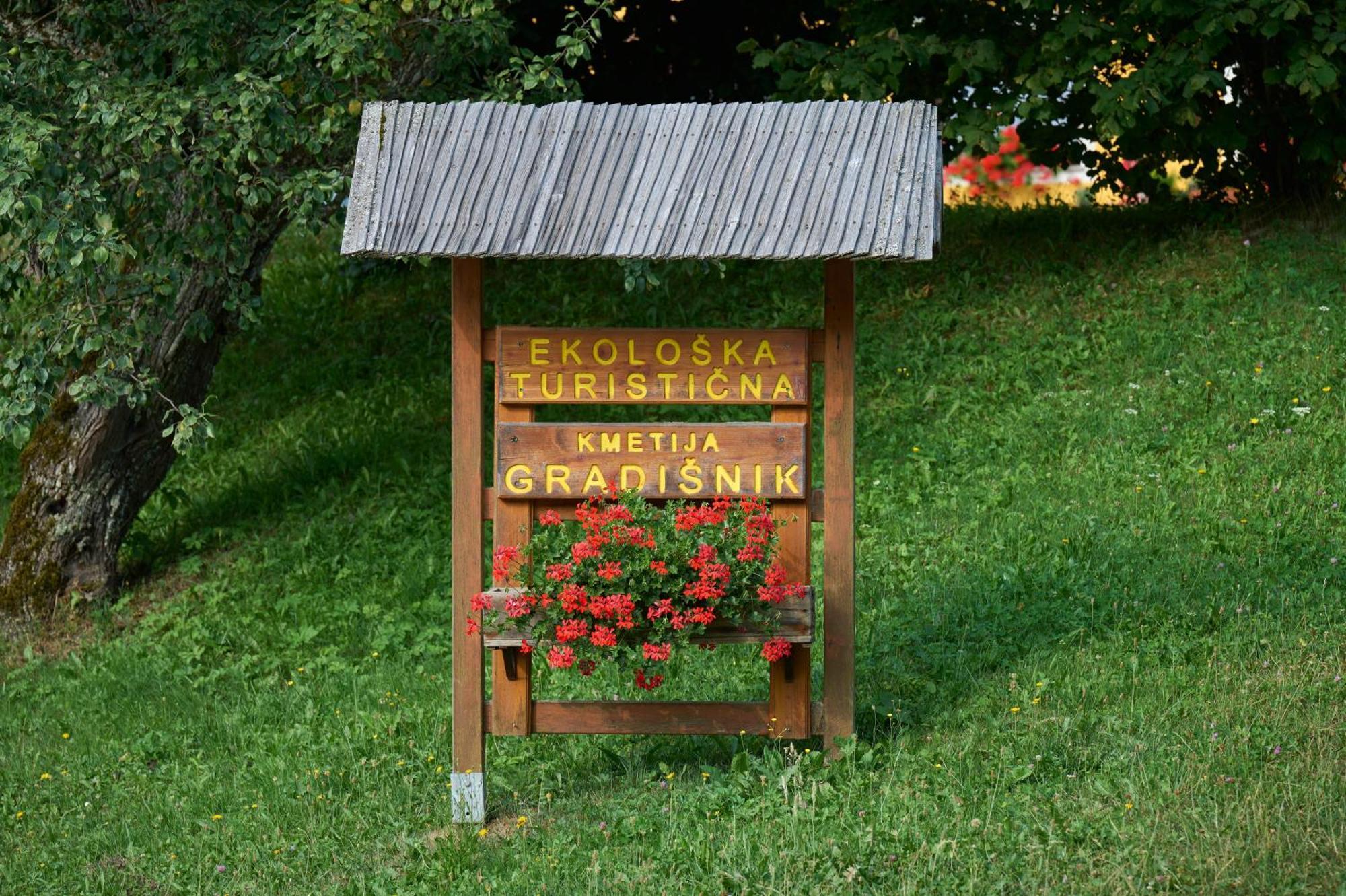 Apartments Organic Tourist Farm Gradisnik Prevalje Εξωτερικό φωτογραφία
