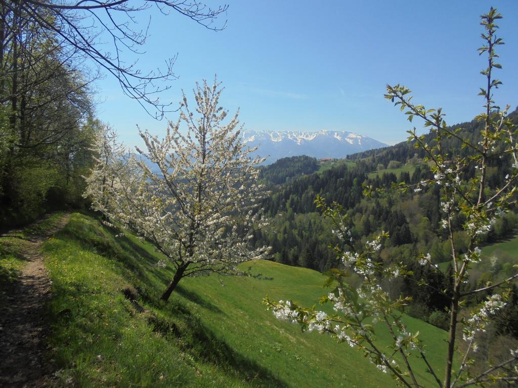 Apartments Organic Tourist Farm Gradisnik Prevalje Εξωτερικό φωτογραφία